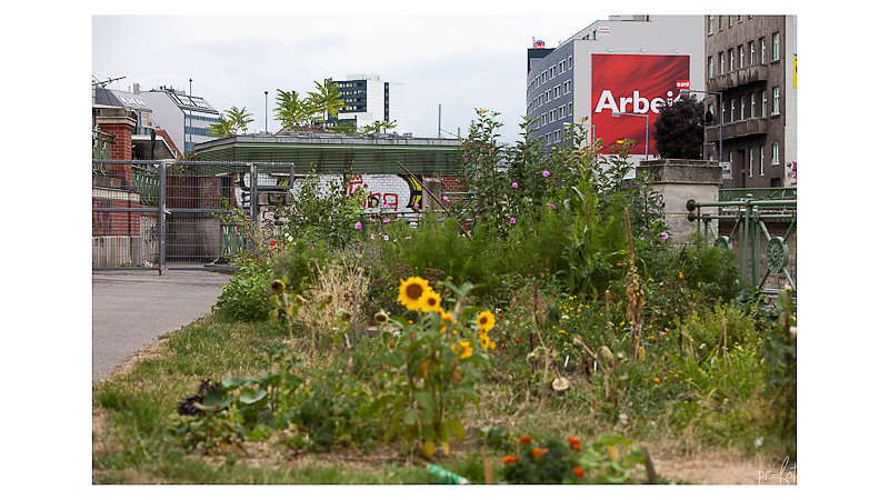 unser-wien-18-von-100.jpg