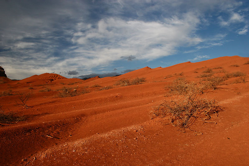 Argentina  - Cafayate