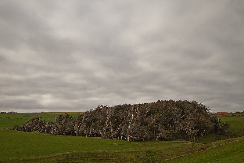Slope Point - Neuseeland