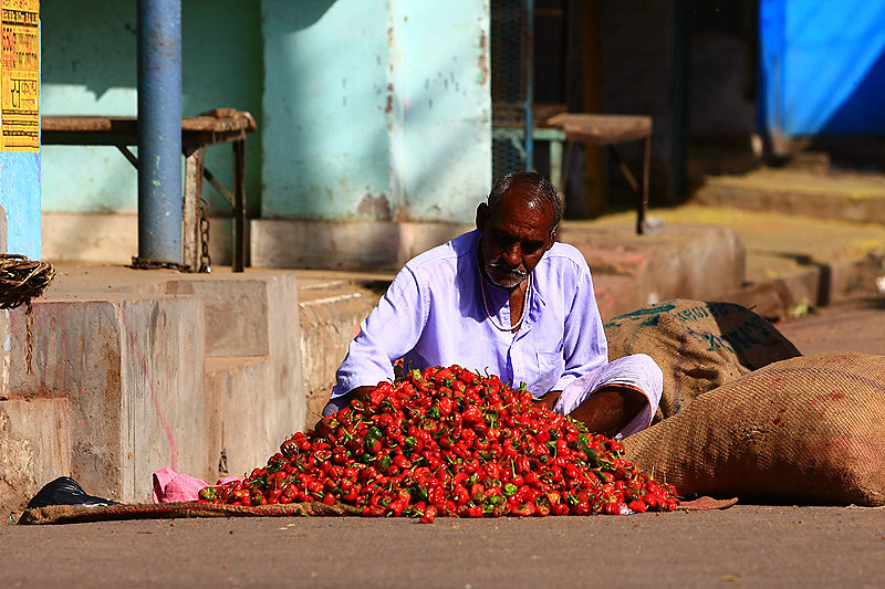 varanasi-chilliverkaeufer.jpg