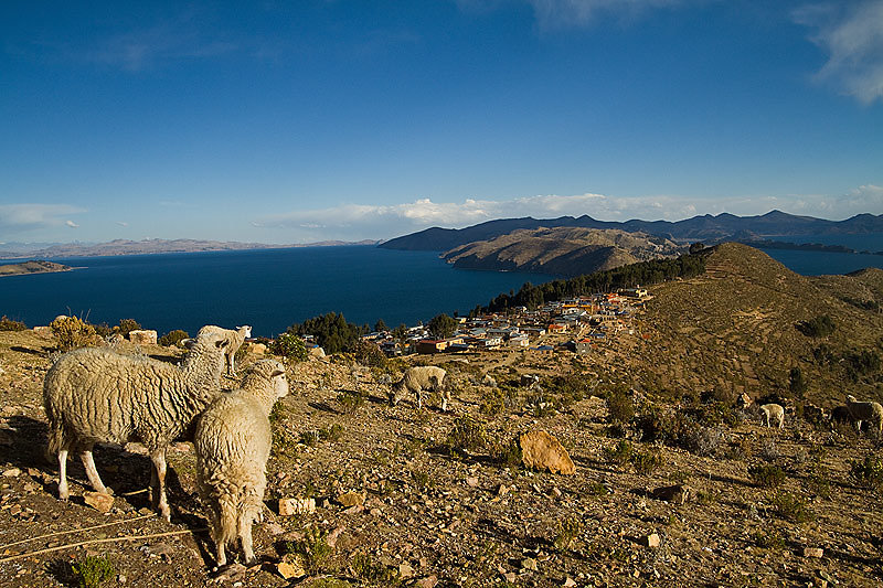 Isla del Sol - Bolivia