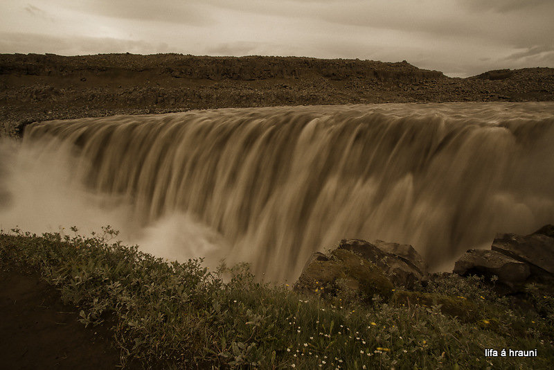 iceland-life-on-lava-6.jpg