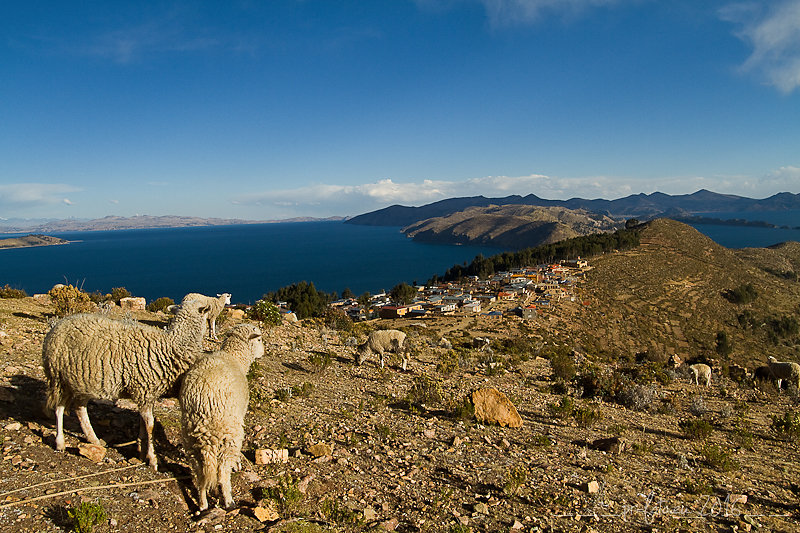 Isla del sol