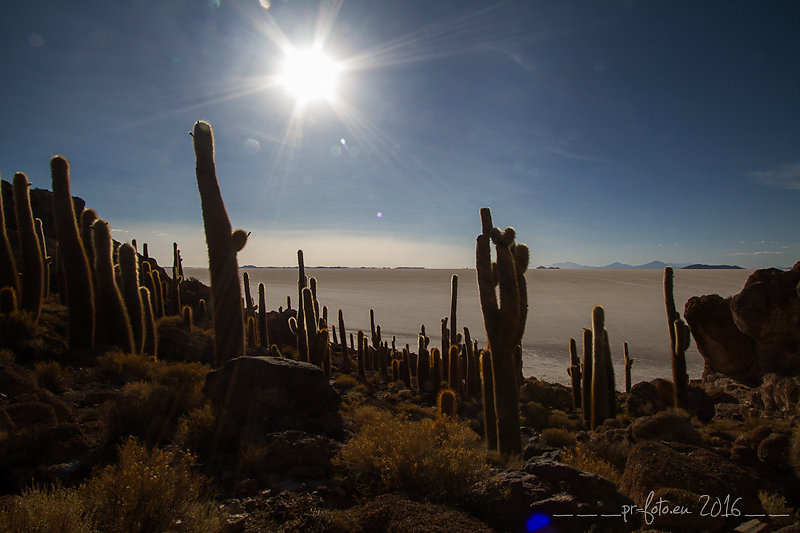 bolivia-11-von-24.jpg