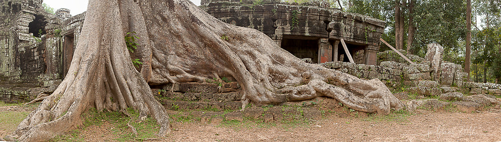 cambodia-feigenbaum-angkor-wat-1-von-1.jpg