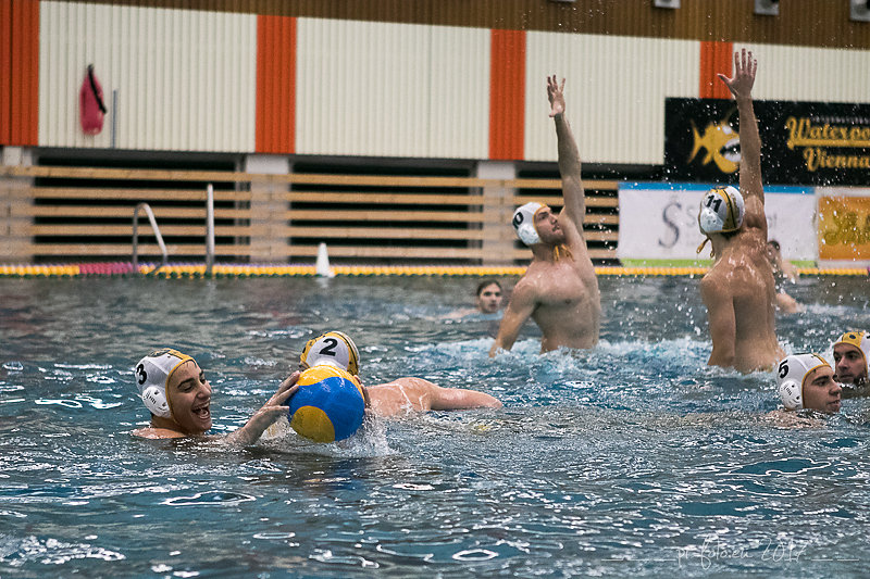 wasserball-16-von-151.jpg