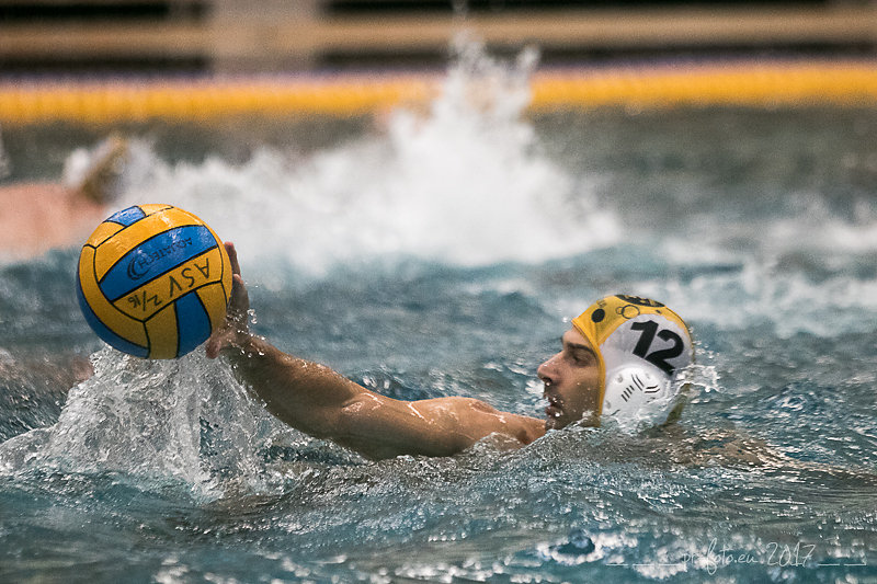 wasserball-34-von-151.jpg