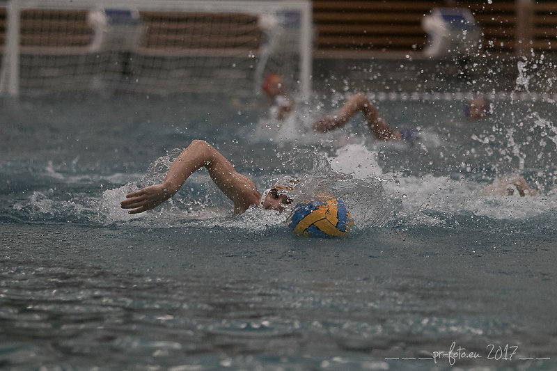 wasserball-65-von-151.jpg
